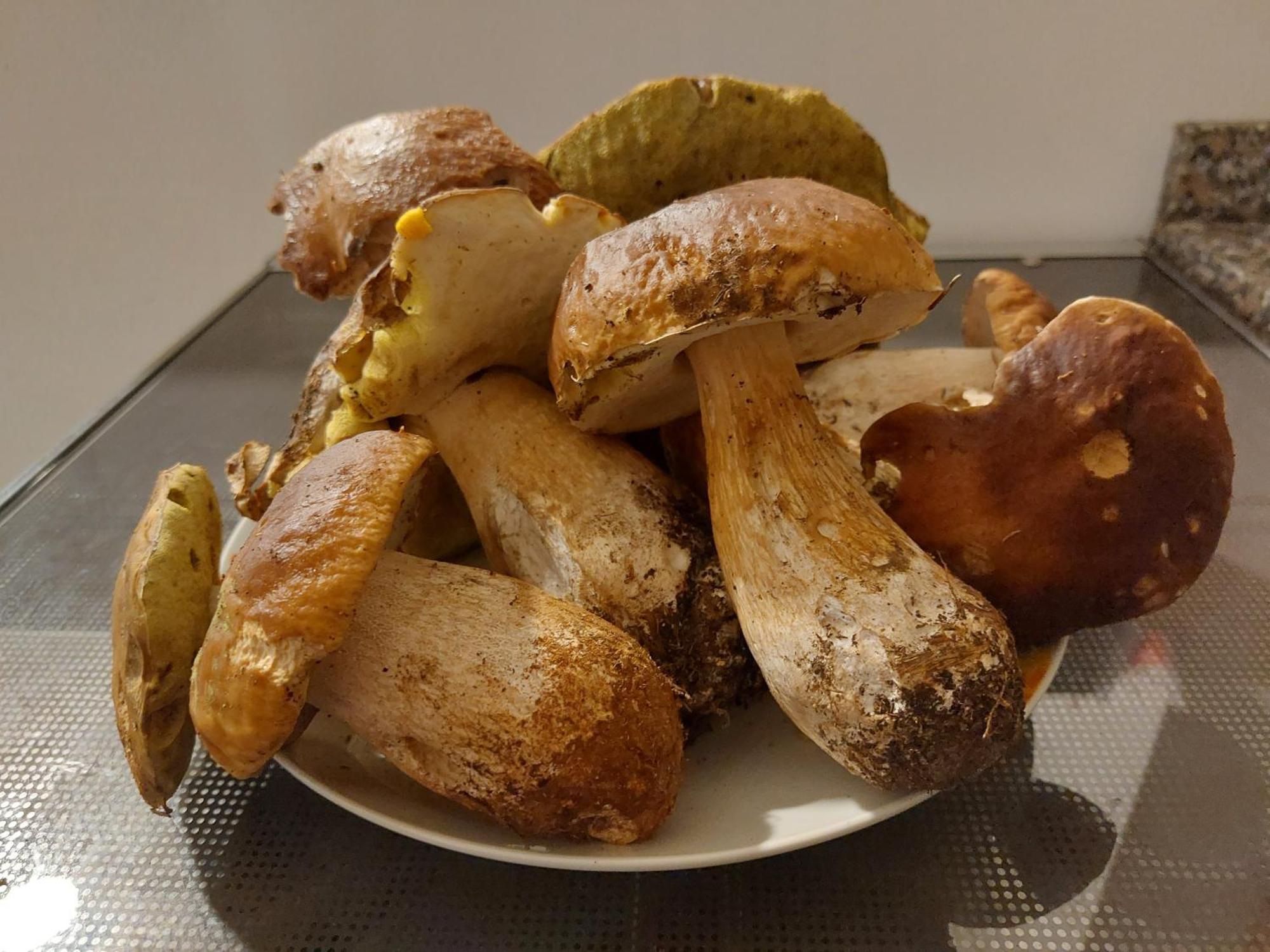 Room&Breakfast Al Canyon 丰多 外观 照片
